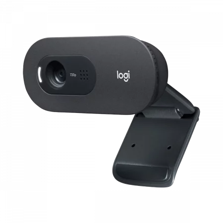 Logitech C505e Web-Kamera